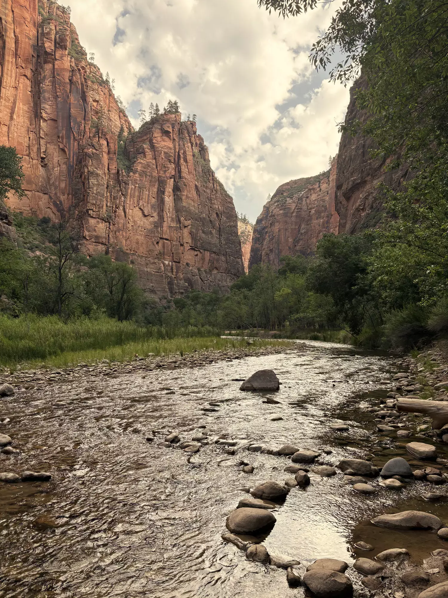 De Virgin River stroomt over ronde stenen tussen rode rotswanden in Zion National Park in Utah