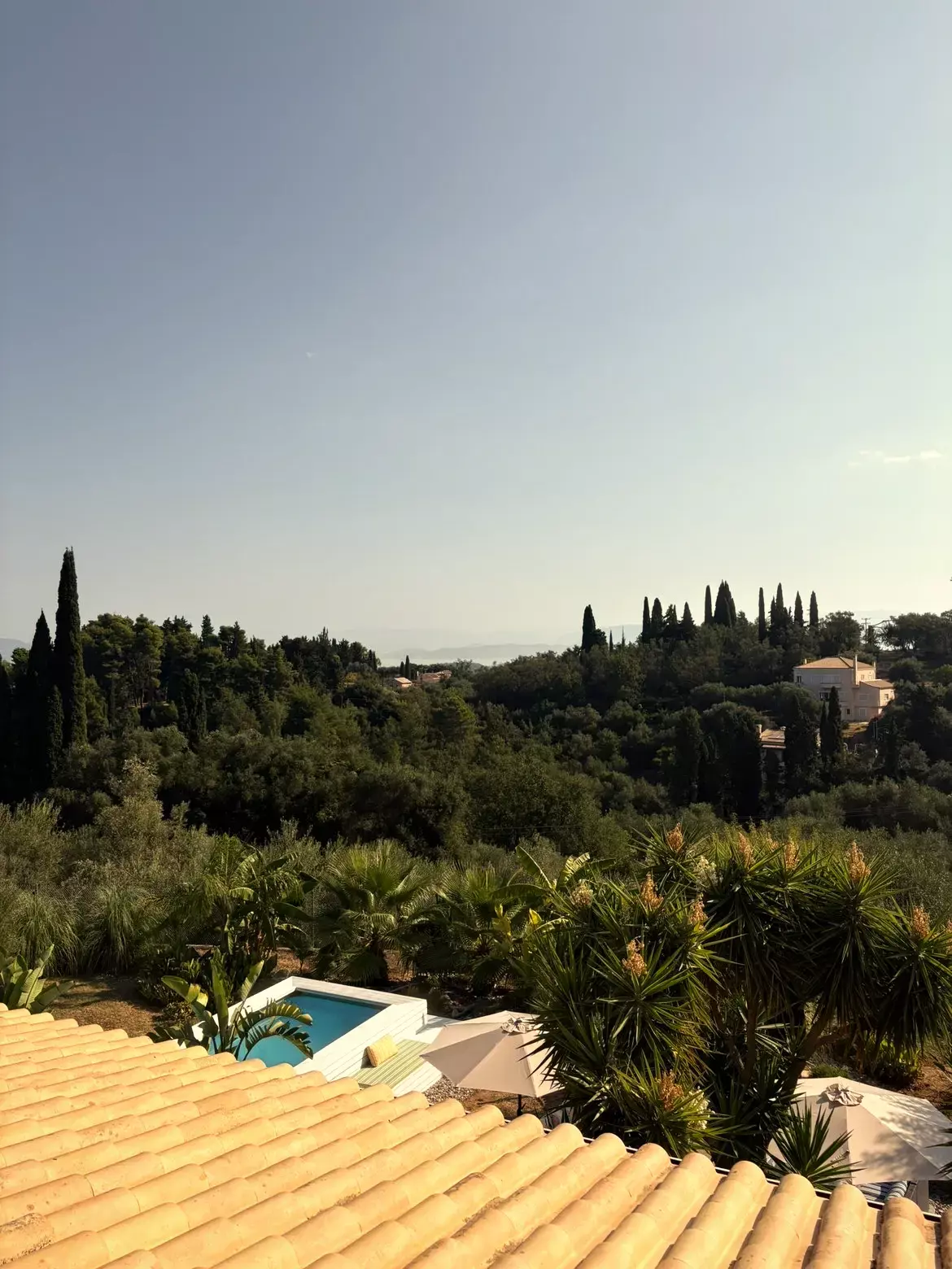 Pannendak en zwembad met uitzicht over het groene heuvellandschap van Corfu vol cypressen en olijfbomen