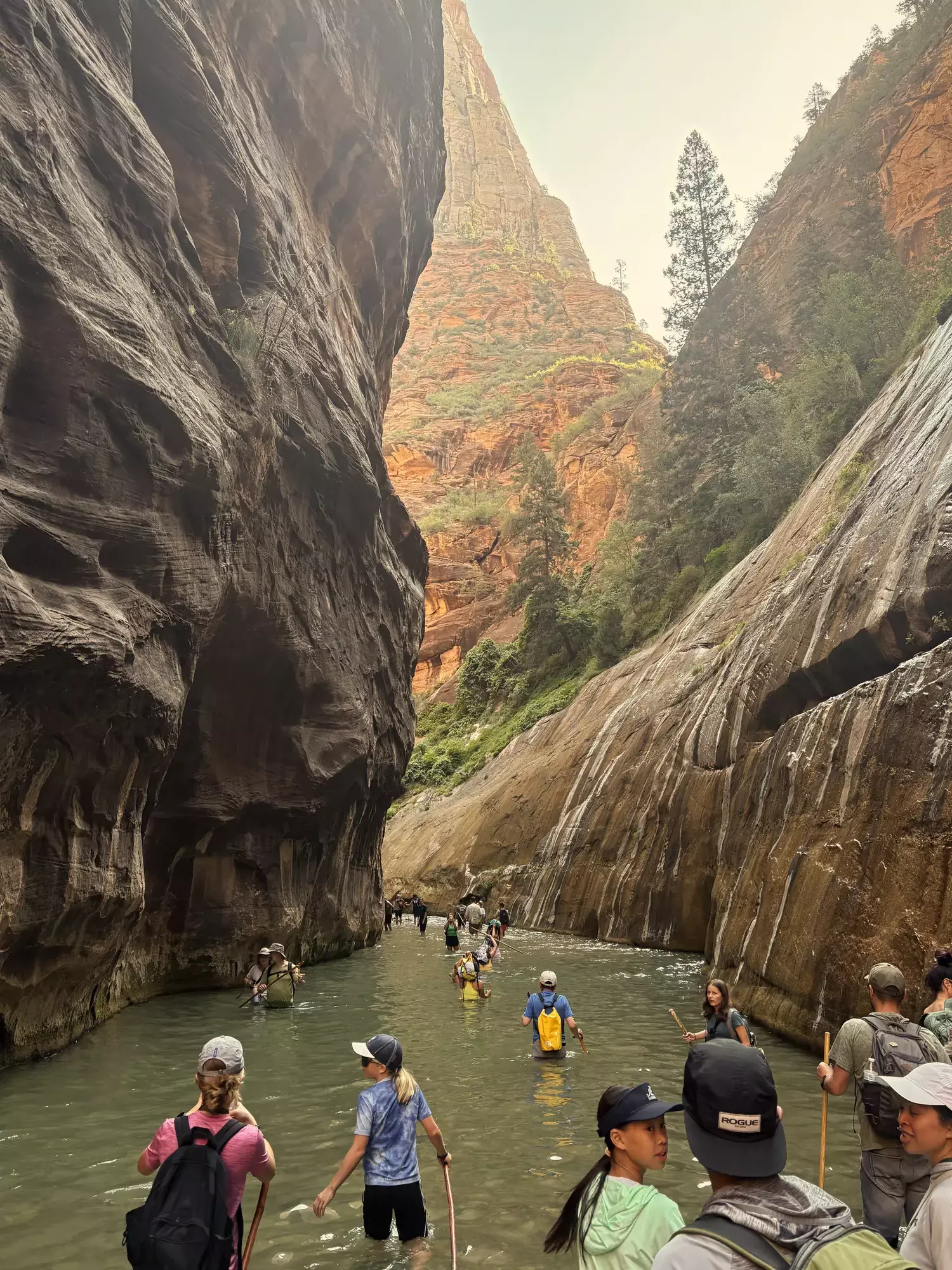 Groep wandelaars loopt door het water in de smalle kloof van The Narrows in Zion National Park