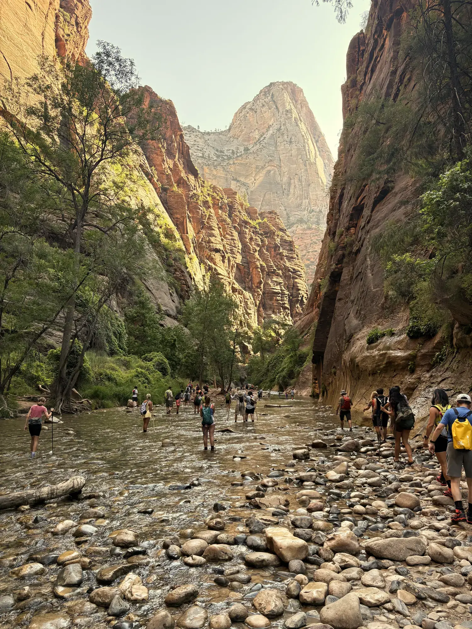 Wandelaars waden door de Virgin River tussen steile rotswanden tijdens de Narrows hike in Zion National Park