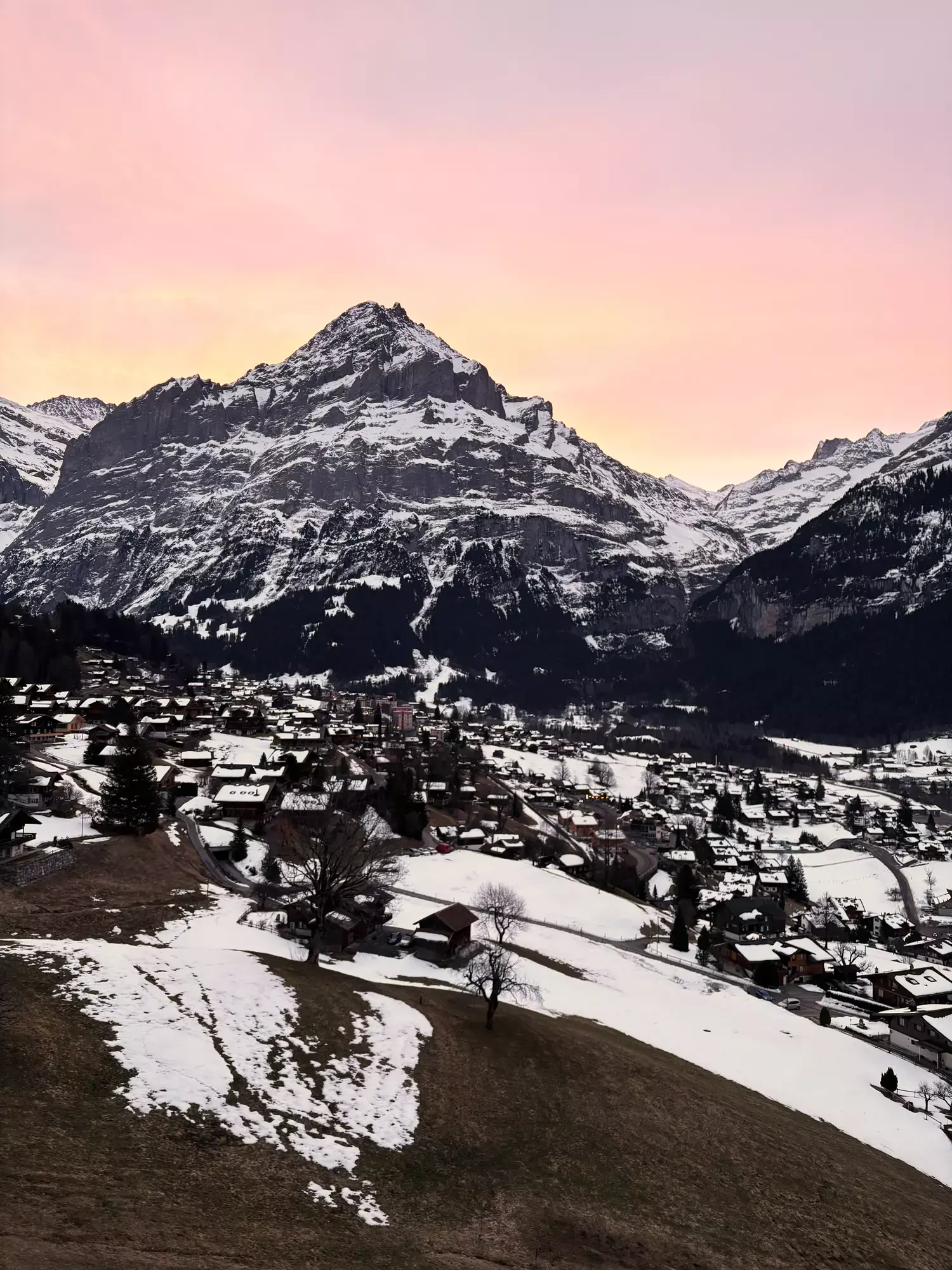 Uitzicht over het besneeuwde dorp Grindelwald met chalets en een bergtop in roze zonsonderganglicht in de Zwitserse Alpen