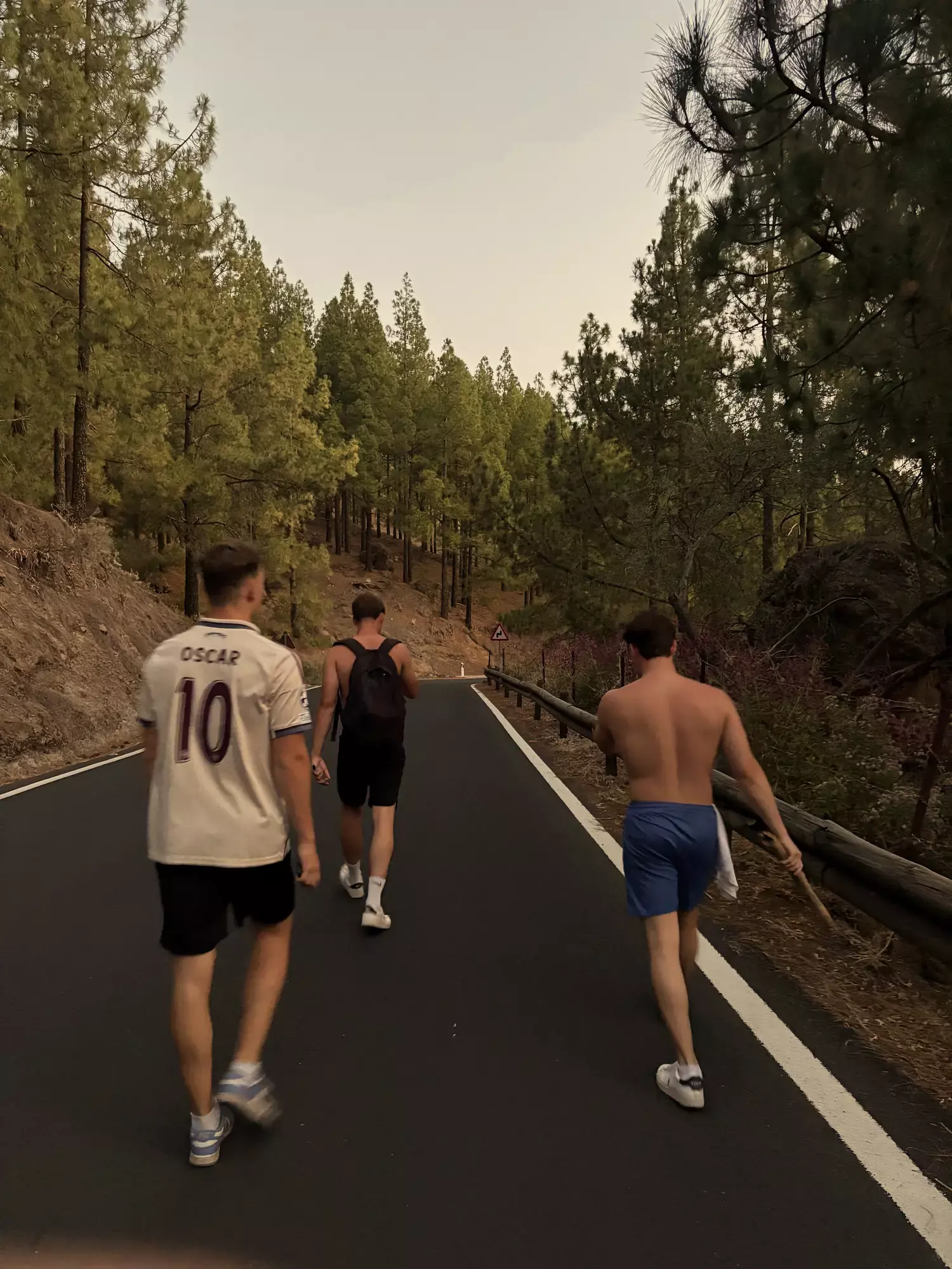Drie wandelaars lopen over een bergweg door het dennenbos op weg naar de Roque Nublo hike op Gran Canaria