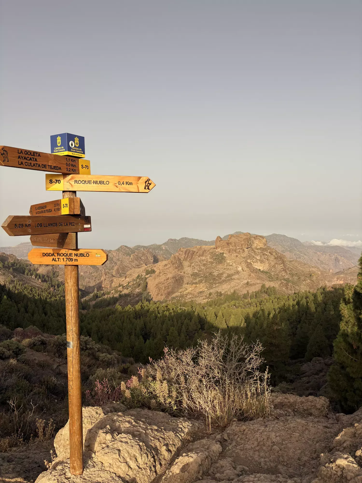 Houten wegwijzer van wandelroute S-70 naar Roque Nublo met bergen en dennenbos op de achtergrond